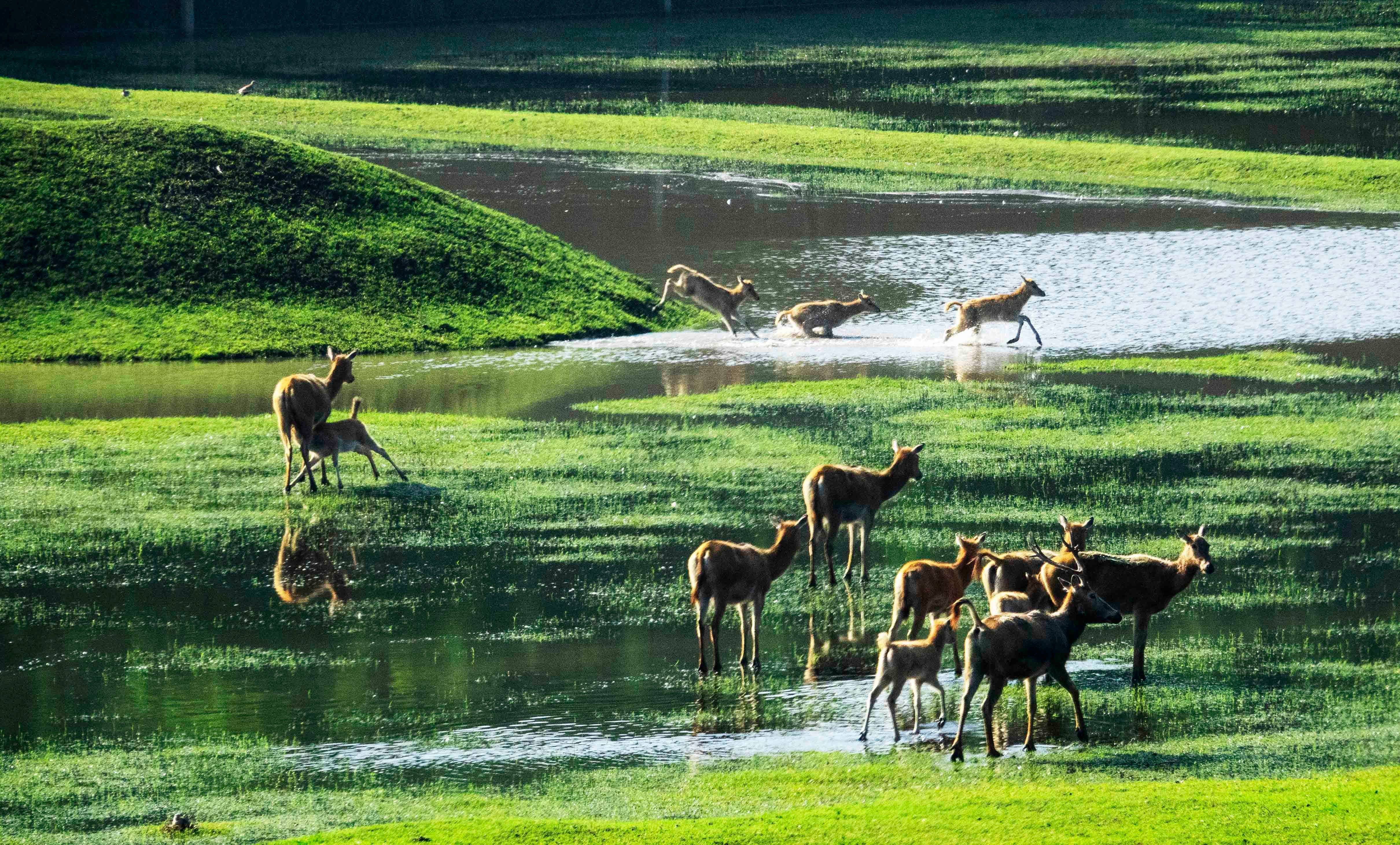 加强生物多样性保护的意见》,明确要求"到2025年,湿地保护率达到55%