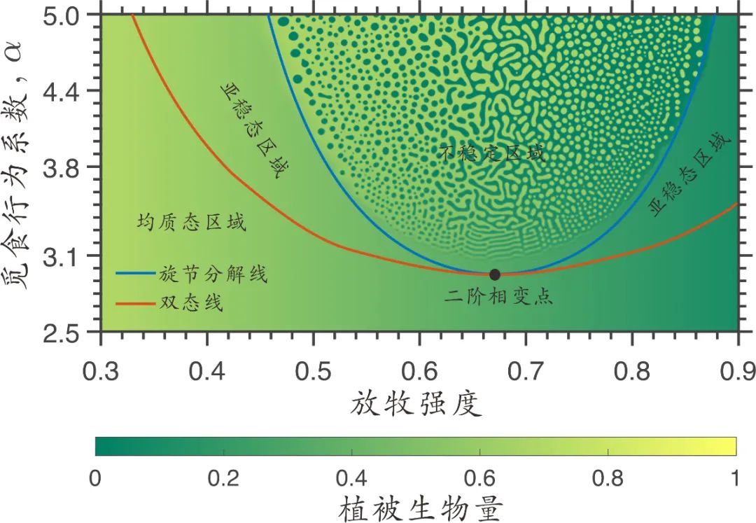 食草动物-植被模型的理论相图与数值模拟相图。“不稳定区域”指无穷小的扰动可导致放牧生态系统非均质空间格局形成的区域；“亚稳态区域”指强度和尺度足够大的扰动才可以导致放牧生态系统非均质空间格局形成的区域；“均质态区域”指放牧生态系统只会保持全局均质。