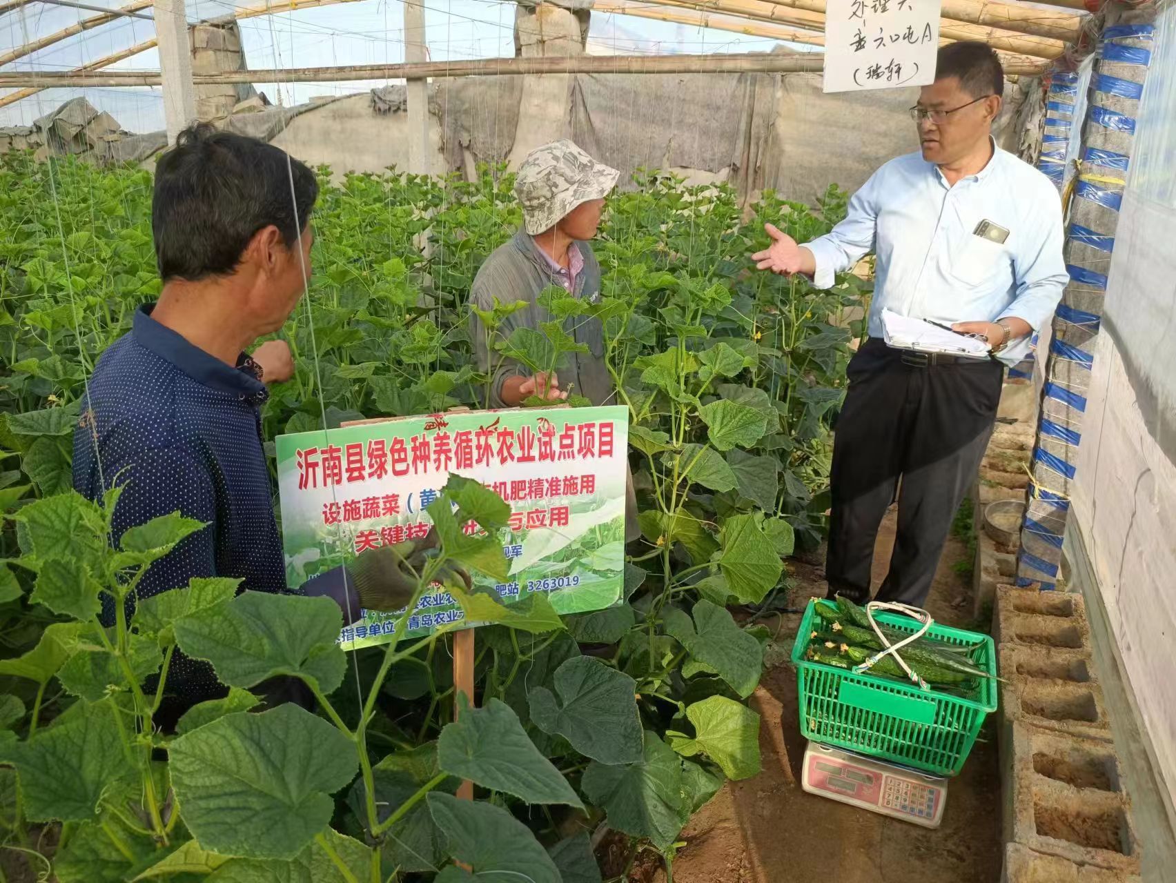 辛集镇科协为菜农送上科技大餐.jpg