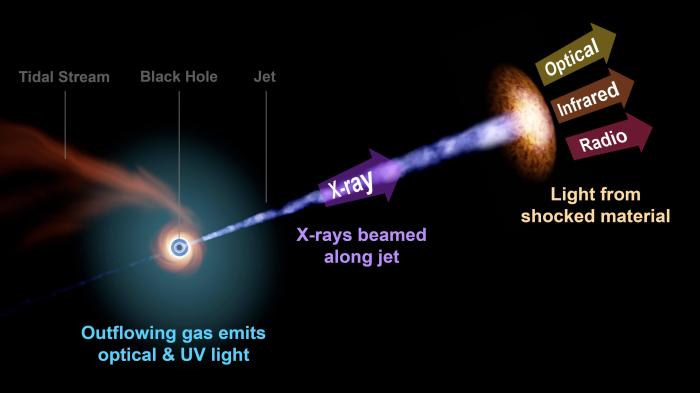 国际最新研究：黑洞瓦解恒星引发天文奇观或助理解黑洞特性
