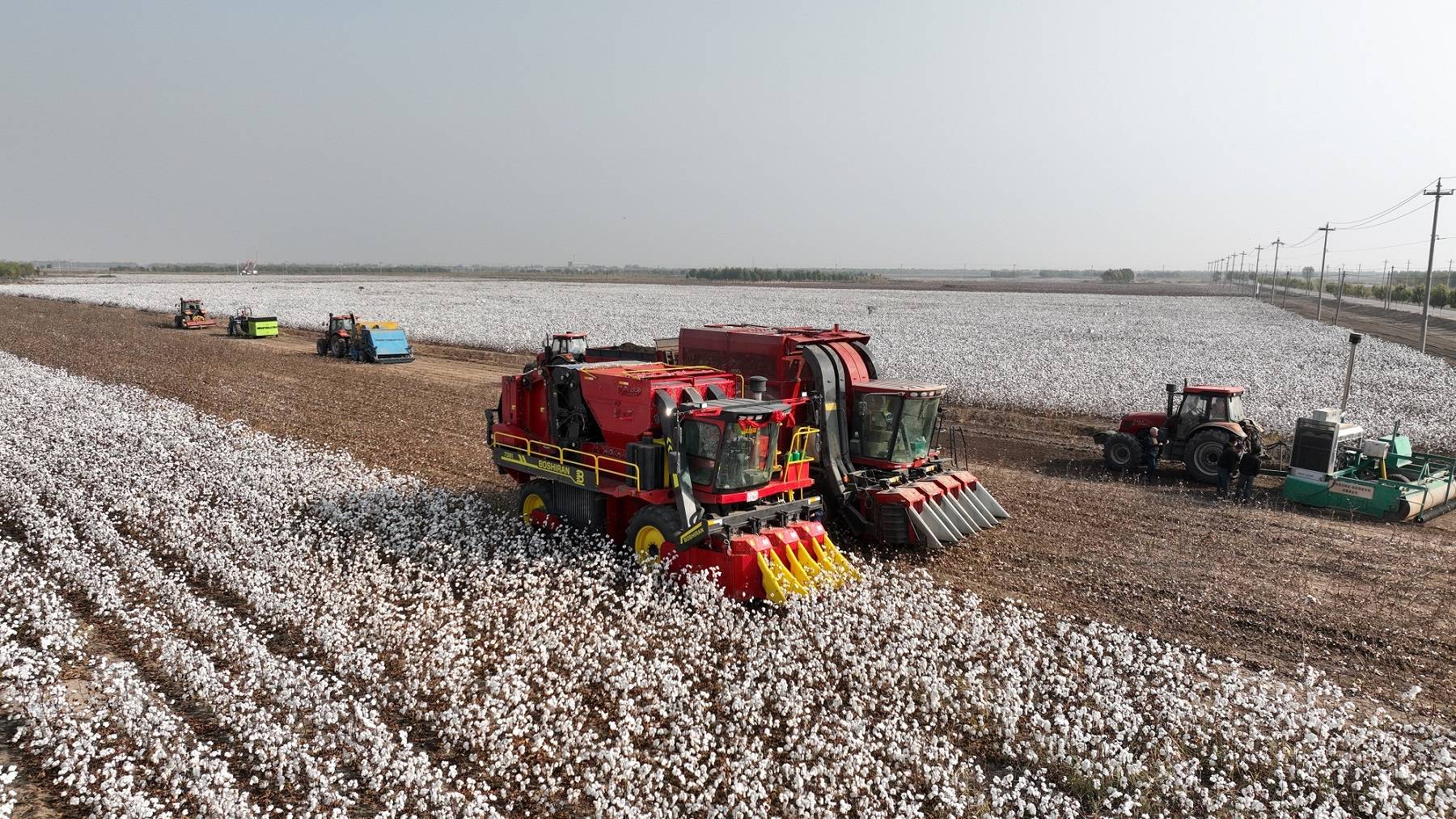 黄河三角洲盐碱地棉花产业高质高效发展现场观摩与研讨会举行