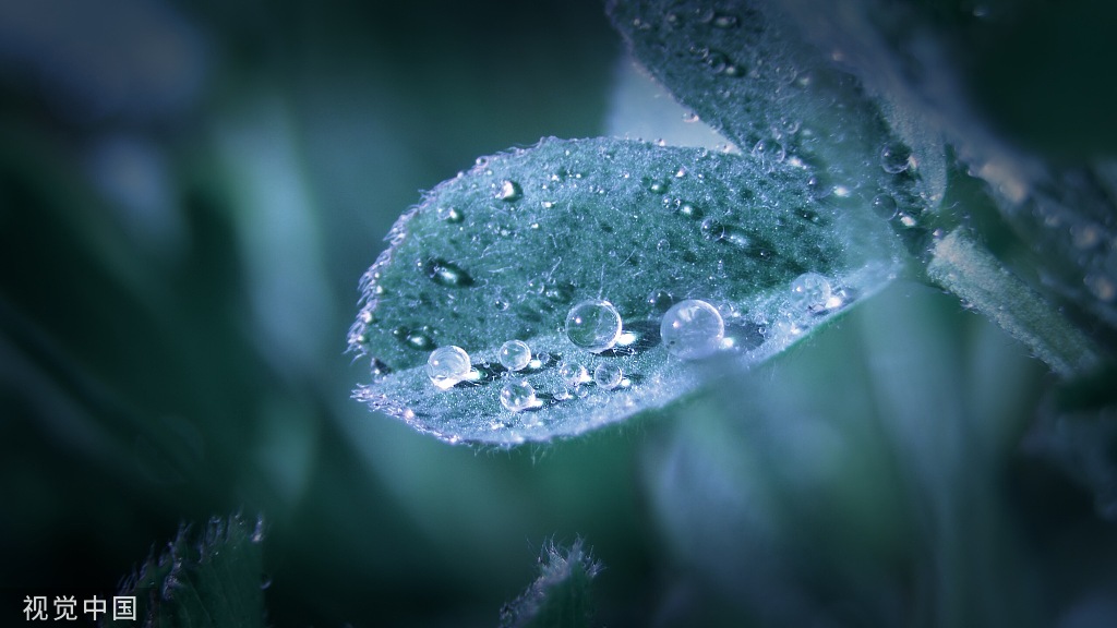 VCG41N1152154398.jpg