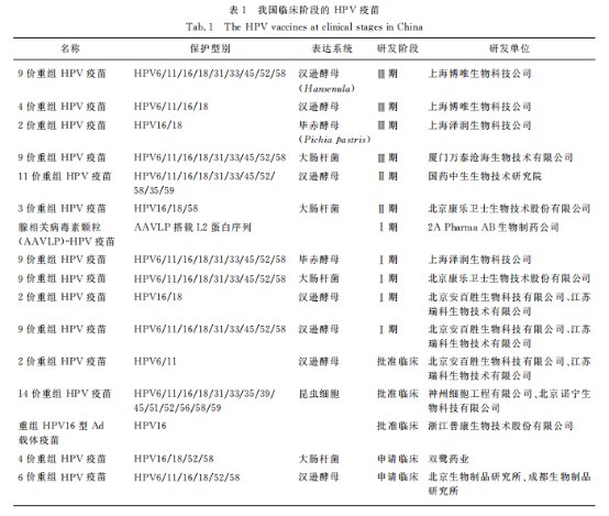 HPV疫苗,HPV疫苗的未来发展,打了宫颈癌疫苗就不会得宫颈癌了吗