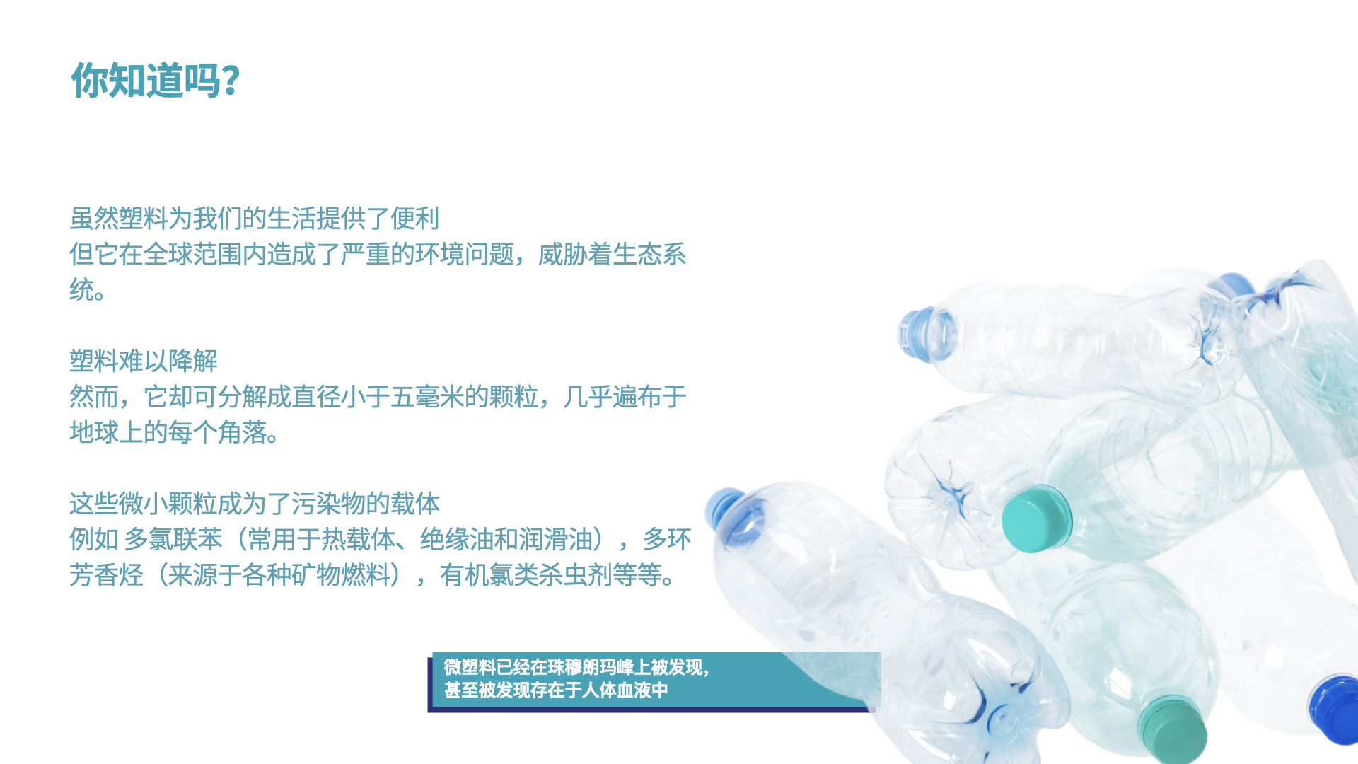 Earth Day 2022 CN_F.011.jpeg