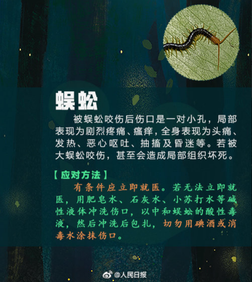 6.png