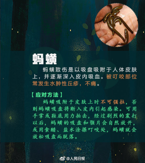 7.png