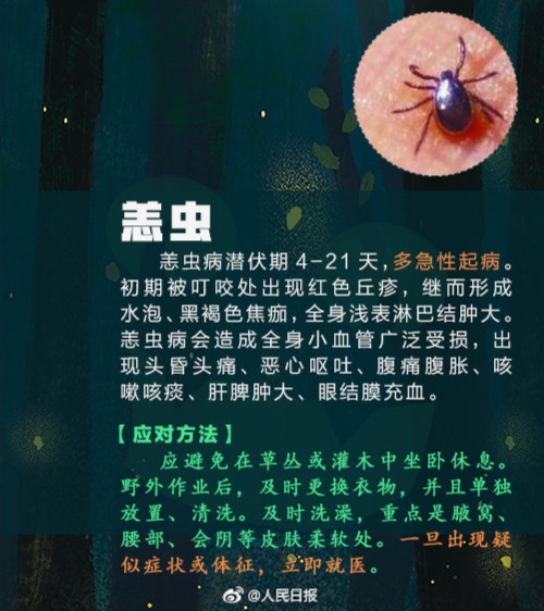 8.png
