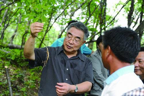张伯礼:"天津老张"的肝胆相照
