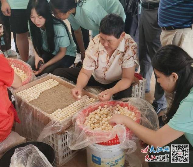 https://r.sinaimg.cn/large/article/b0a8e448c94d35108d96d56b307d9f64