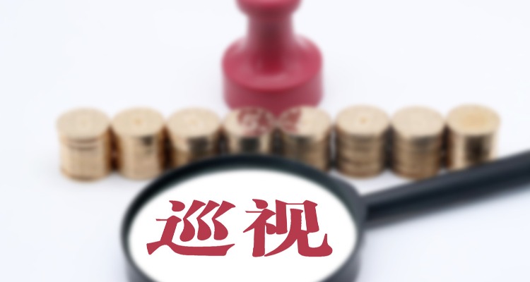 深化对政治巡视的规律性认识