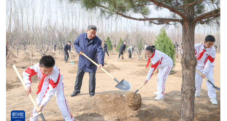 习近平在参加首都义务植树活动时强调  全民植树增绿　共建美丽中国