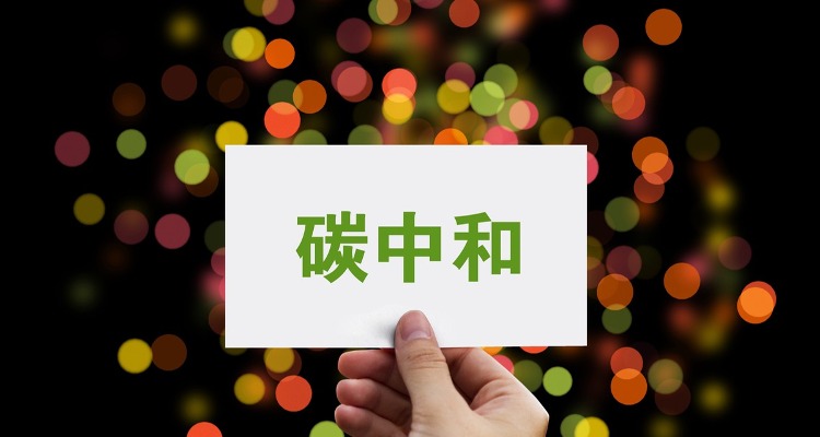 稳步推进生物质能多元化开发 ——做大做强生物经济