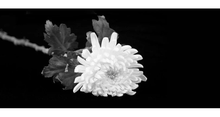 告全党全军全国各族人民书