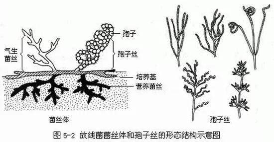 20171009140821_55d8cf.jpg