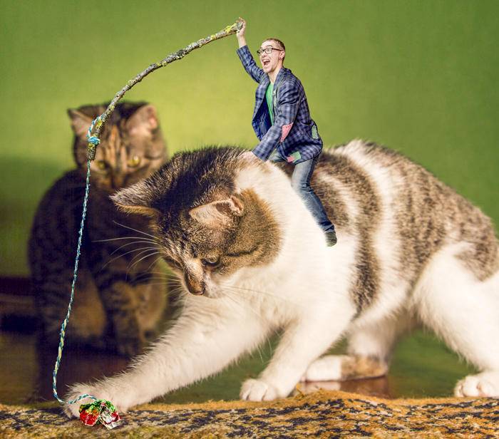 小人国相关资讯 - 科技工作者之家