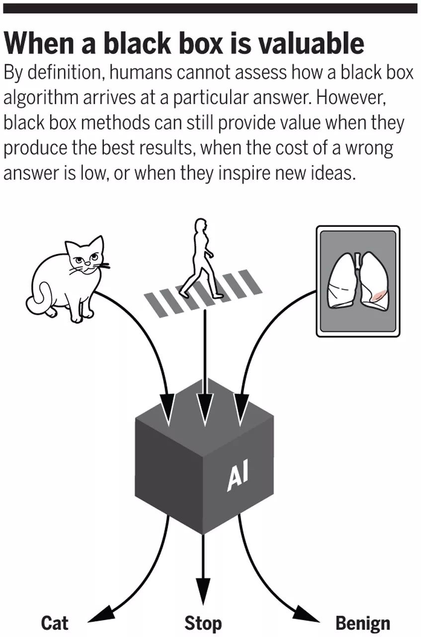 science专栏关于ai黑箱的终极答案