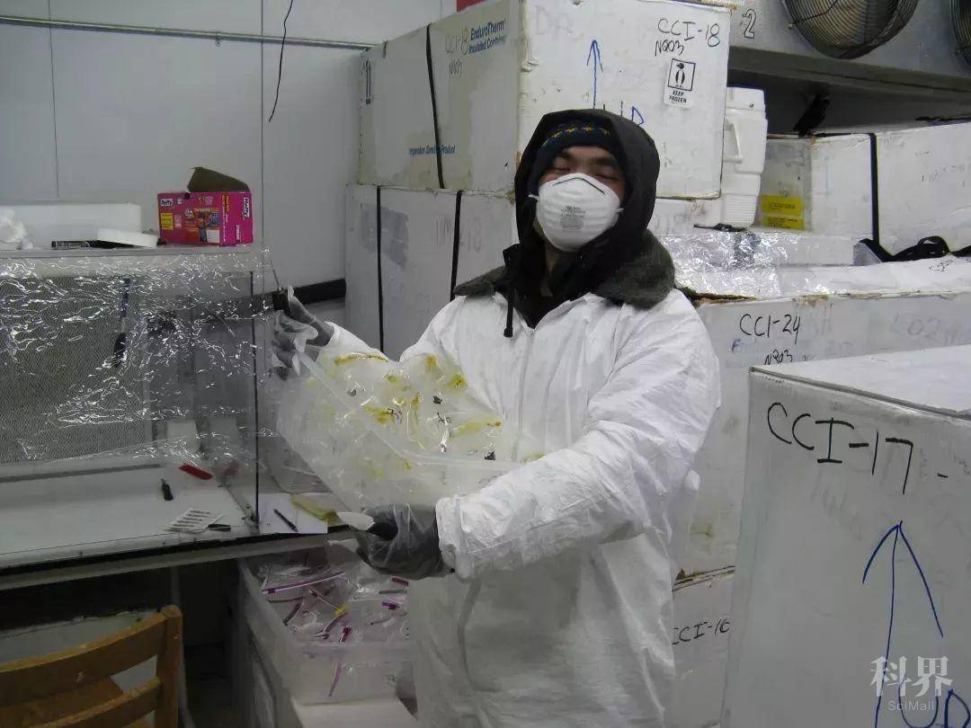 这是一份完整又高清的地球档案,但它正被人类逐渐销毁