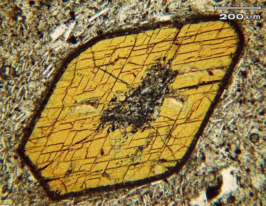 有美玉无瑕,可黑白通吃——角闪石家族