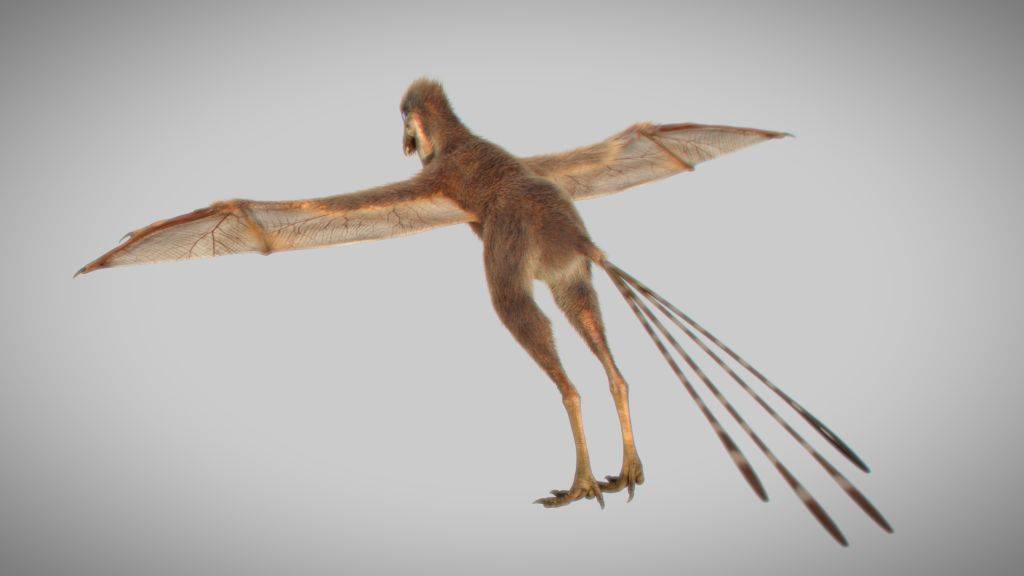 但是,最近发现的擅攀鸟龙科奇翼龙(yi qi)却不一样.除