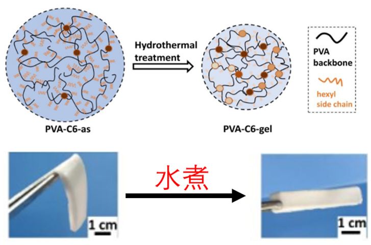 煮一煮,就变强——水凝胶也有生熟之分?