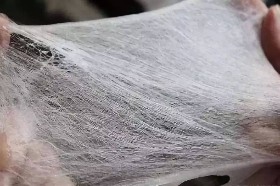 的丝织物残片表明,距今5000多年前,先民已开始养蚕,并利用蚕茧抽丝