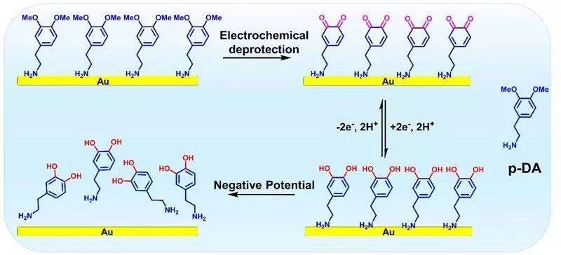 西工大《jacs》:实现金表面多巴胺分子的可控释放