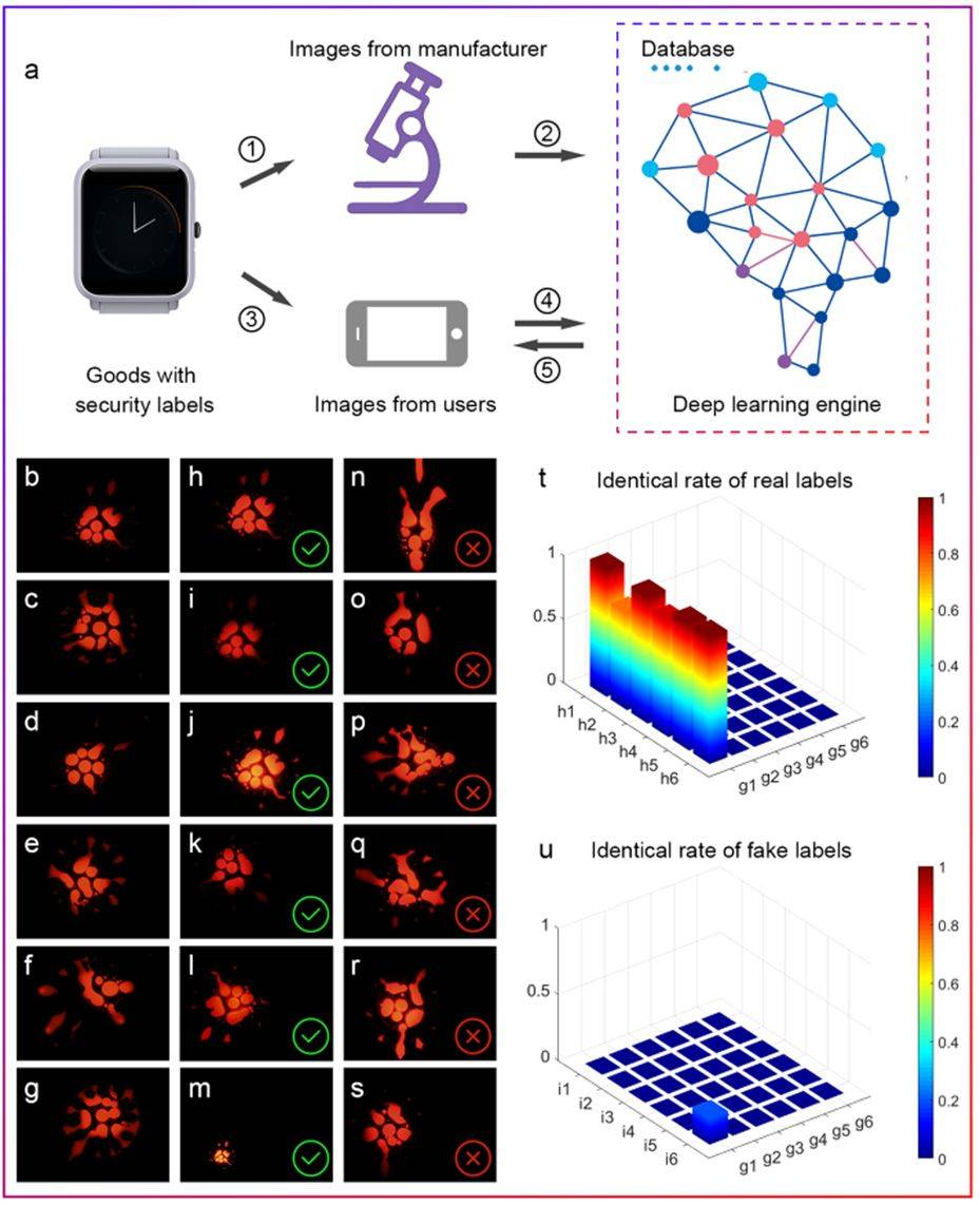 喷墨打印量子点防伪荧光标签遇上人工智能学术资讯 科技工作者之家