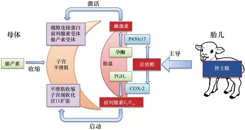 20190715102147_bbef03.jpg