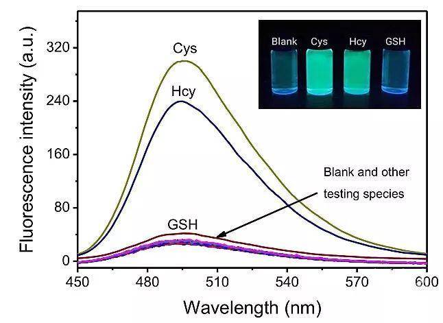 探針cpa與不同生物分子作用後的熒光光譜