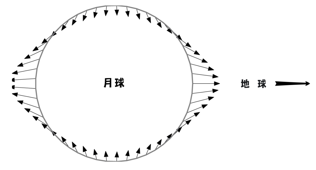 20191108080100_c1b372.jpg