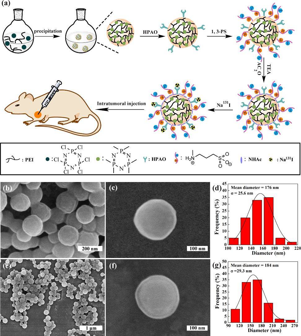 nhac-hpao(131i)-ps的合成及其sem形貌表征.