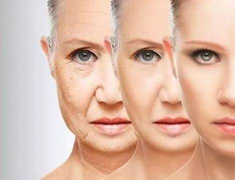 里,线粒体dna突变和氧化性压力一直被认为是引发机体衰老的主要因素