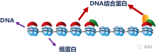 科技工作者之家