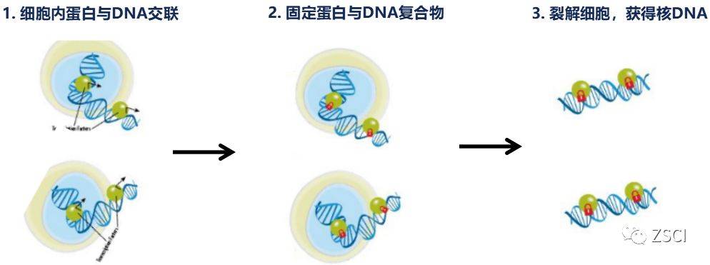 科技工作者之家