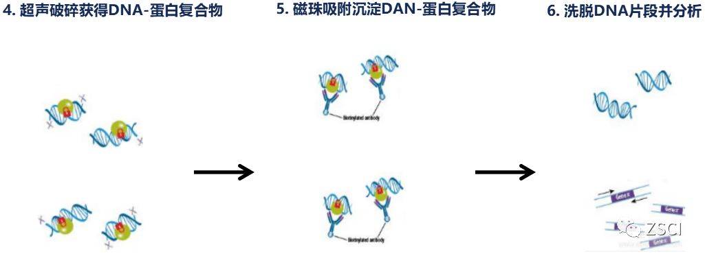 科技工作者之家