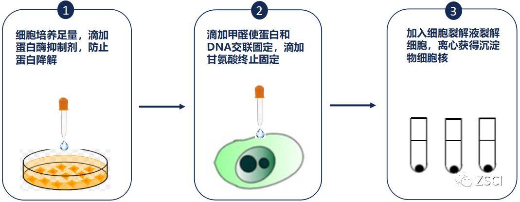 科技工作者之家
