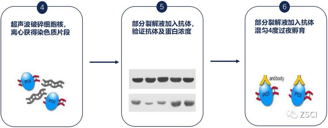 科技工作者之家