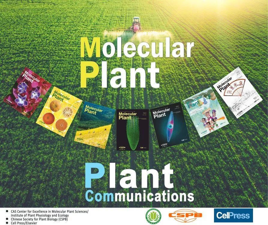 plant com:定量检测宿主微生物组的ha-qap技术