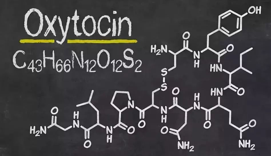 oxytocin nickname图片