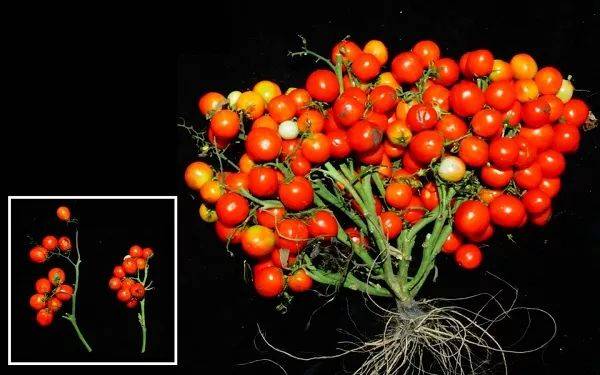 20191226120325_dc2725.jpg