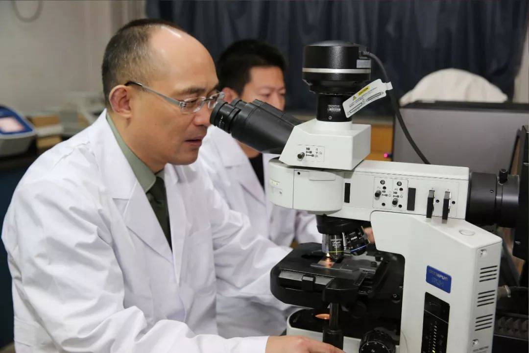 我国新发自然疫源性疾病研究取得重大突破