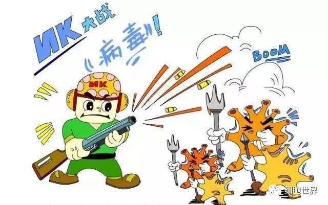 科学普及如何杀死新冠病毒还是得靠自己t细胞对冠状病毒的应答