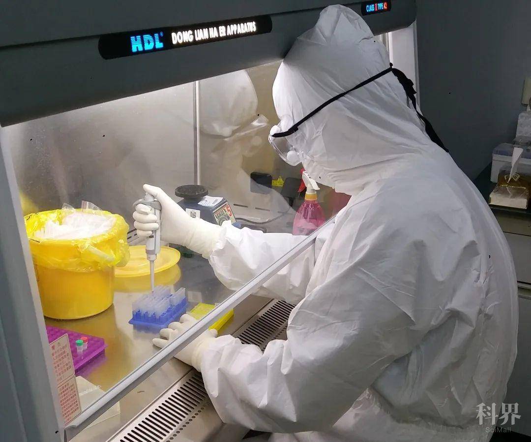 与"毒"共舞 向"死"而生——记pcr实验室里的核酸检测者