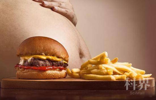▲吃高脂肪食物，男性更容易长胖（图片来源：Pixabay）