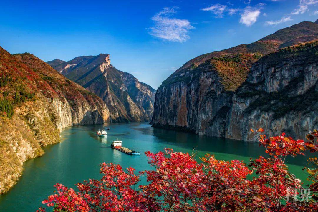 奉节夔门红叶
