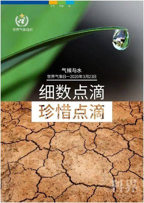 wt_a42302020324041823_fef98f.jpg