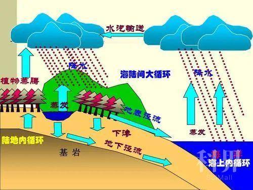wt_a42302020324041825_12724a.jpg
