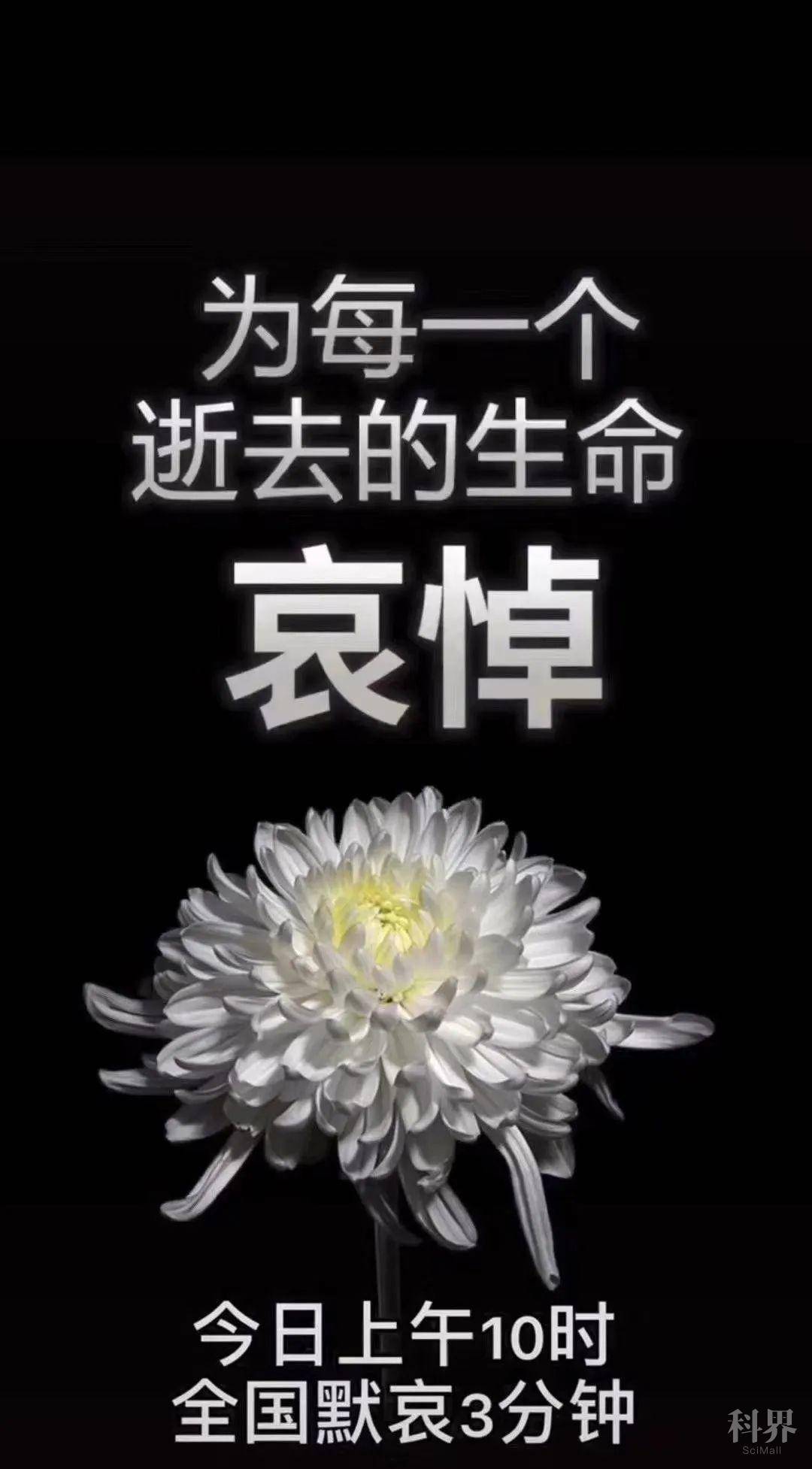 向抗击疫情牺牲烈士和逝世同胞深切哀悼