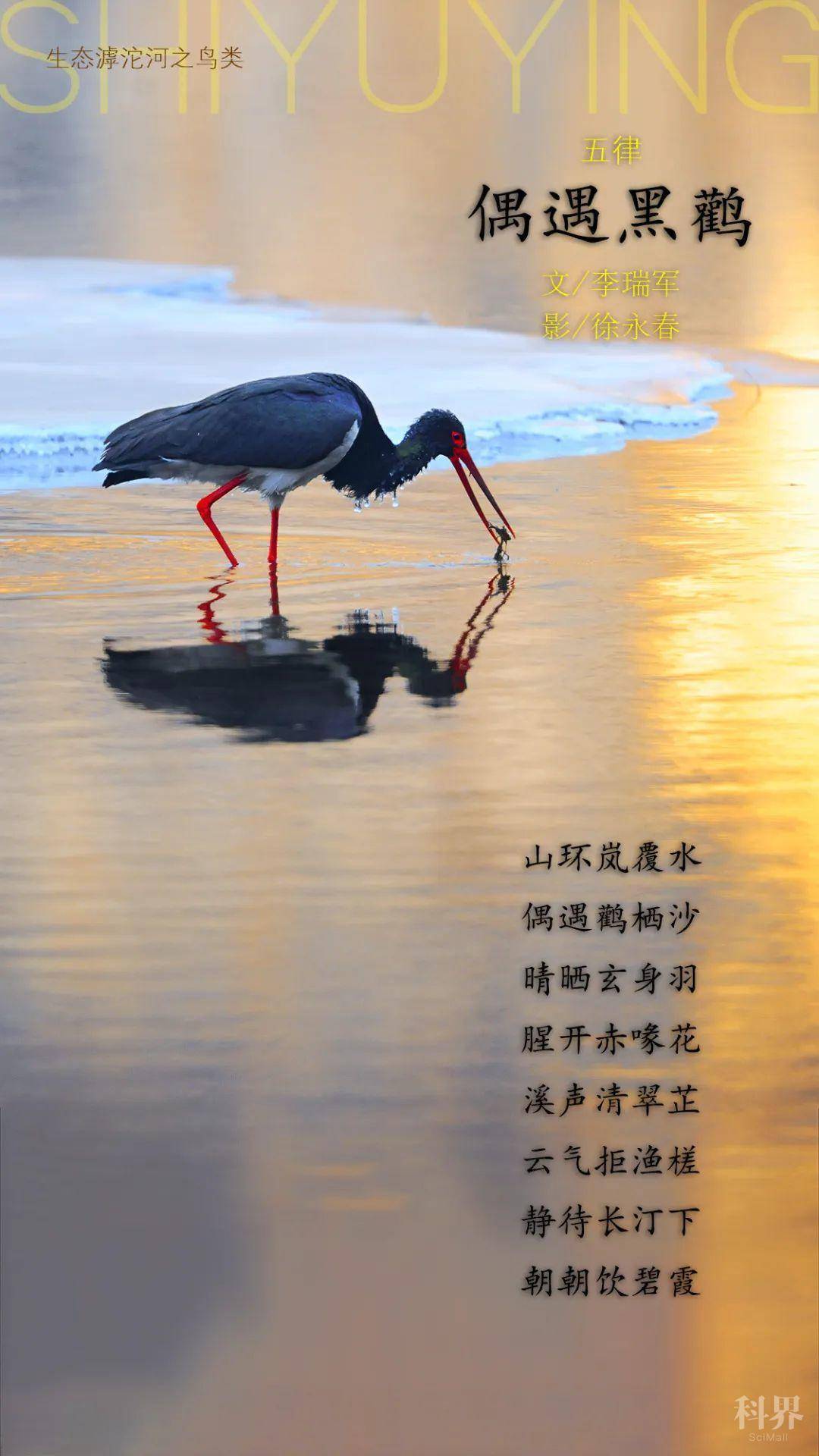 微信号:cwcawx 中国野生动物保护协会 投稿信箱:cwcaweixin@sina.com