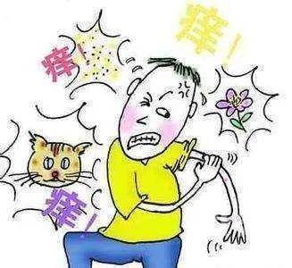 鼻塞打喷嚏如何区分感冒还是花粉过敏 学术资讯 学术资源与社交平台